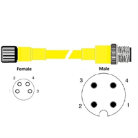 RAMCO M8 4P FEMALE/M12 MALE CABLE 152MM